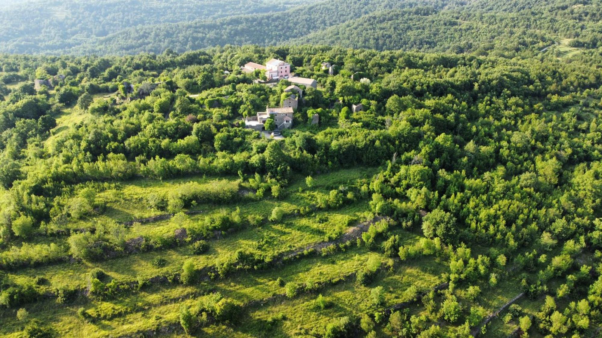 הוילה Grožnjan Casa Del Conte - Peaceful Hideaway In North Istria מראה חיצוני תמונה